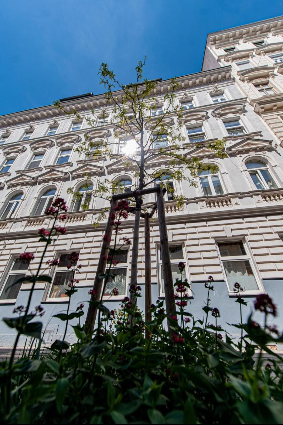 Vienna My City Apartment Garden View Bagian luar foto